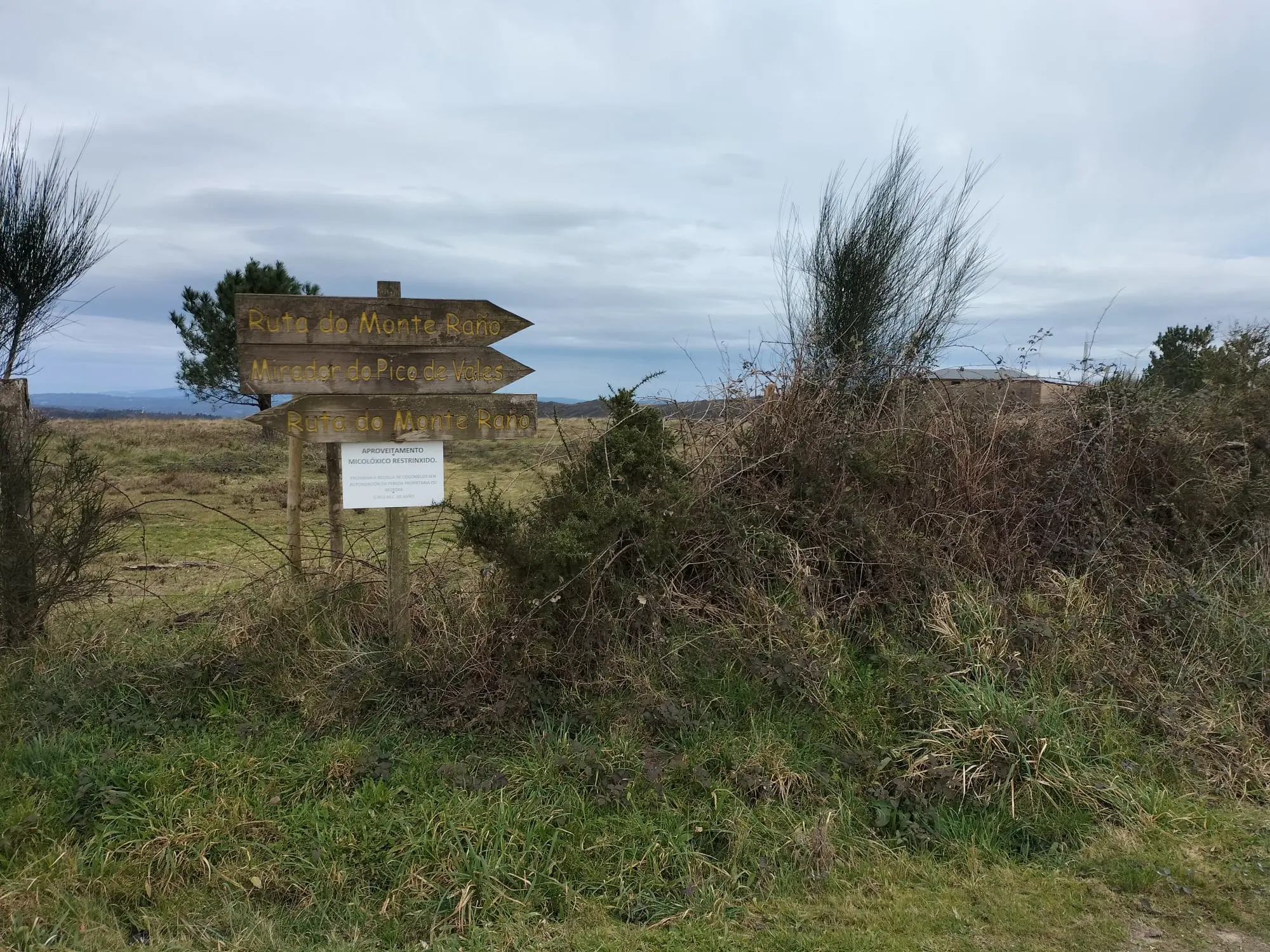 Mirador del Pico Vales y Serrón Gordo