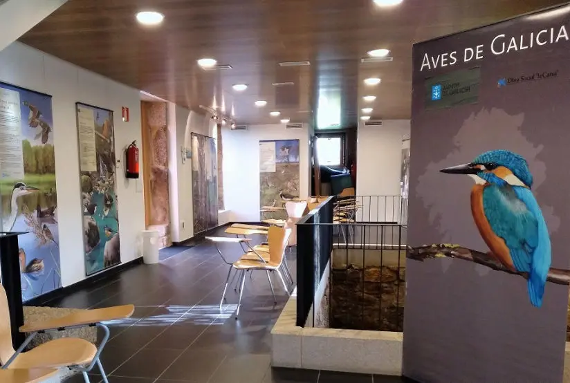 Muíño Vello de Arteixo