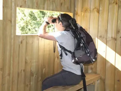 Observatorios de quebrantahuesos La Valle (EScuaín, Huesca)