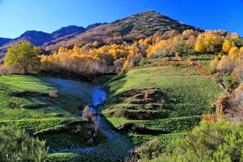 Paderne y la devesa de A Escrita
