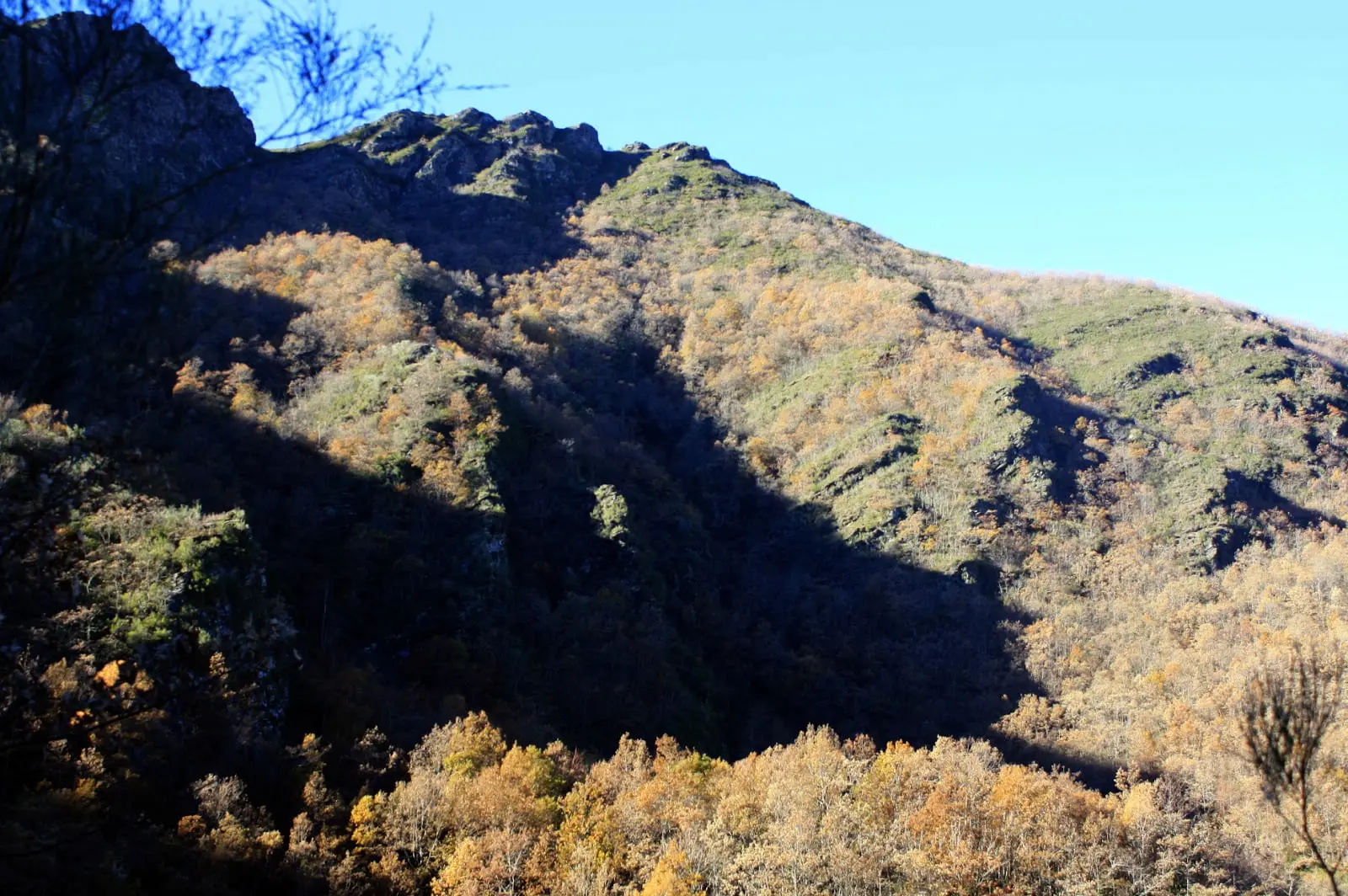 Paderne y la devesa de A Escrita