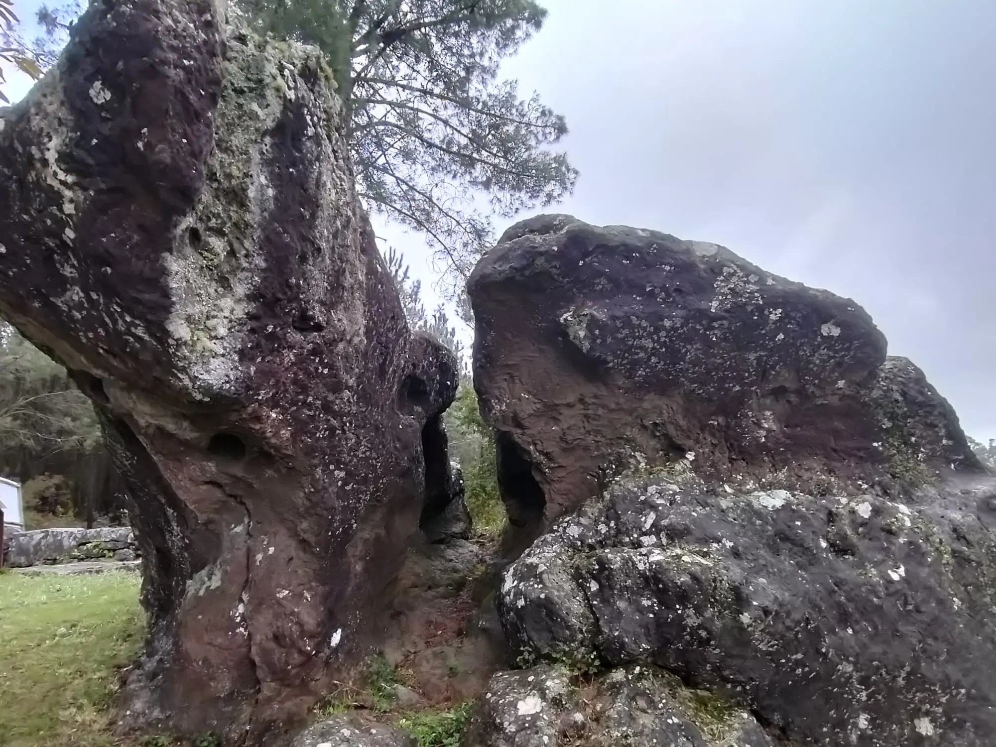 Sarcófagos de Pedra do Home