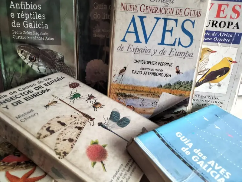 Cómo pasa el tiempo