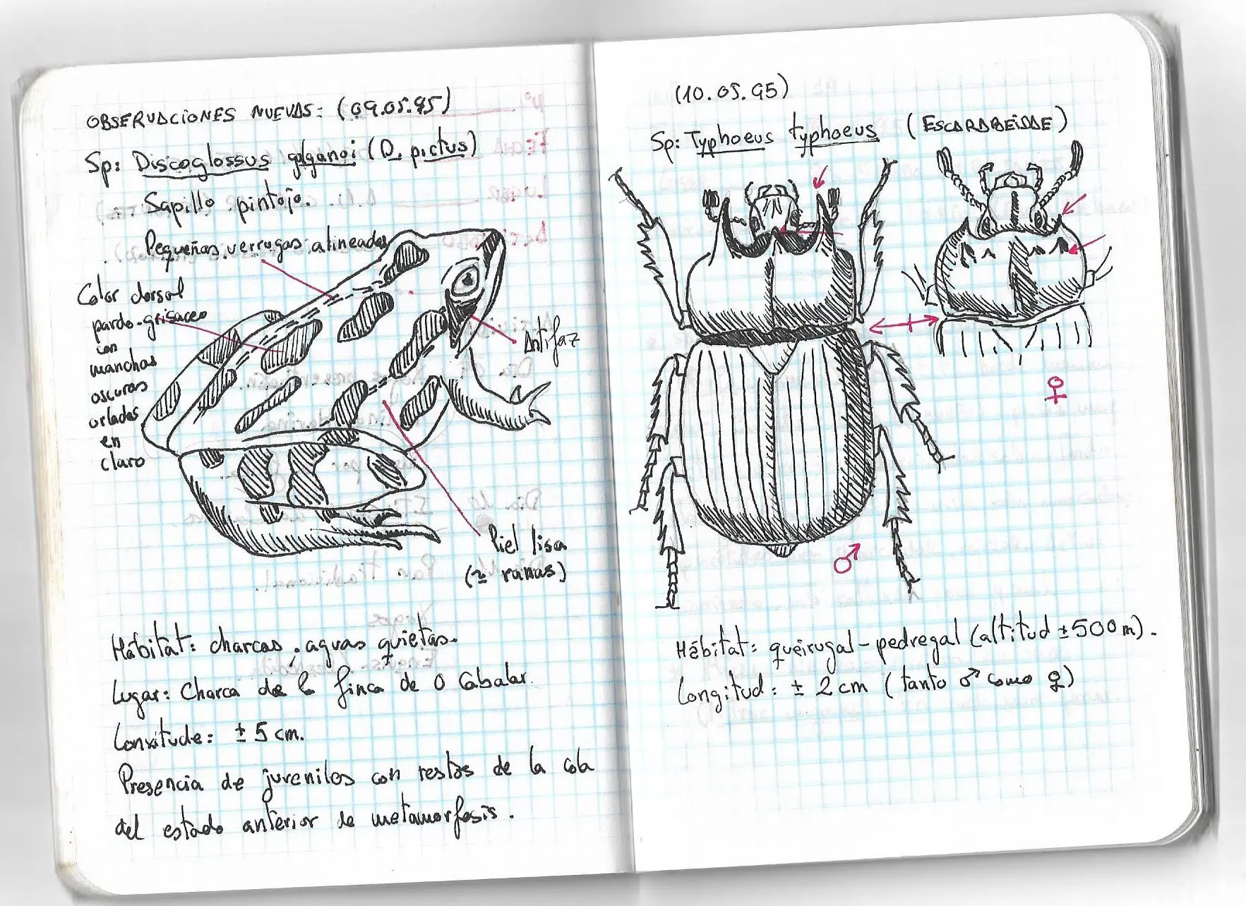 Cómo pasa el tiempo