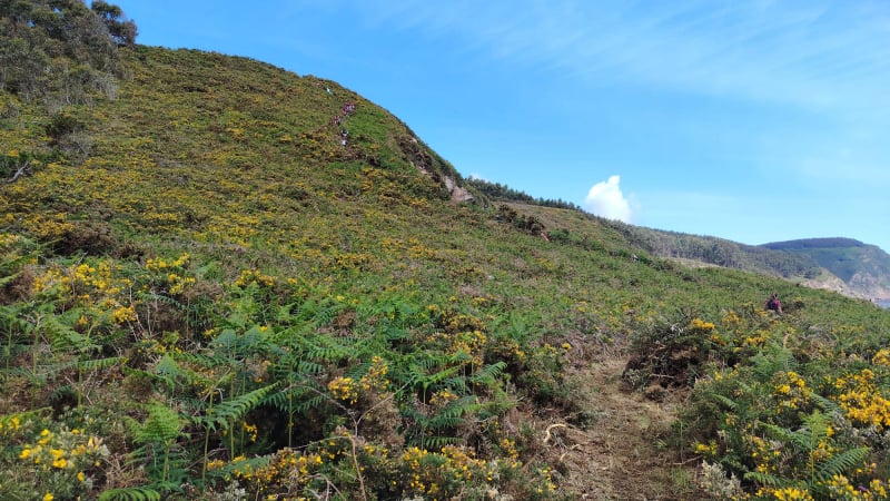 Trail do Vicedo