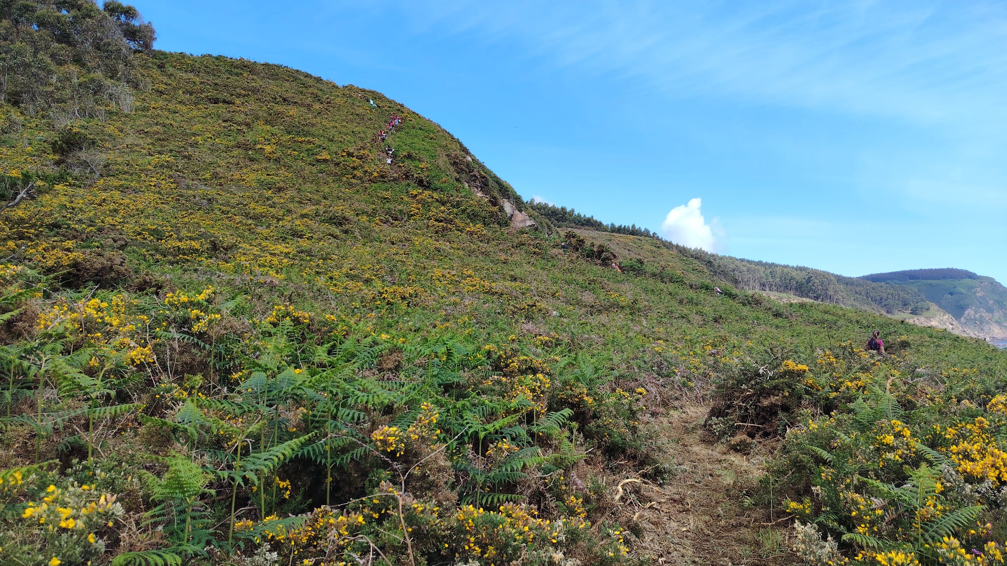 Trail do Vicedo