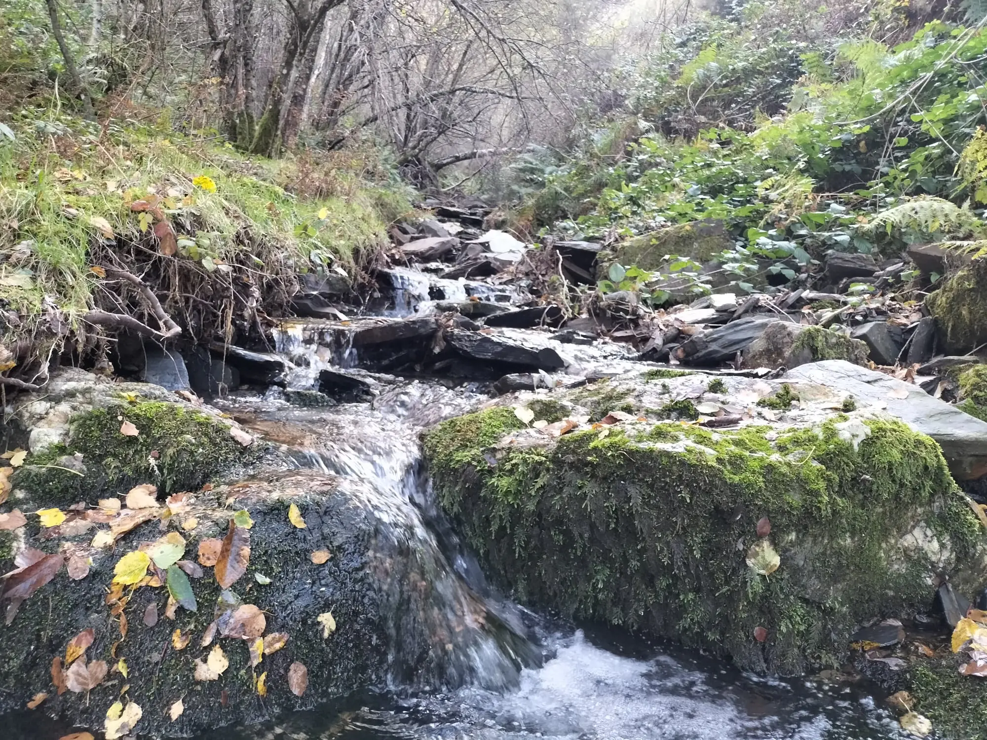 Túnel romano de Romeor