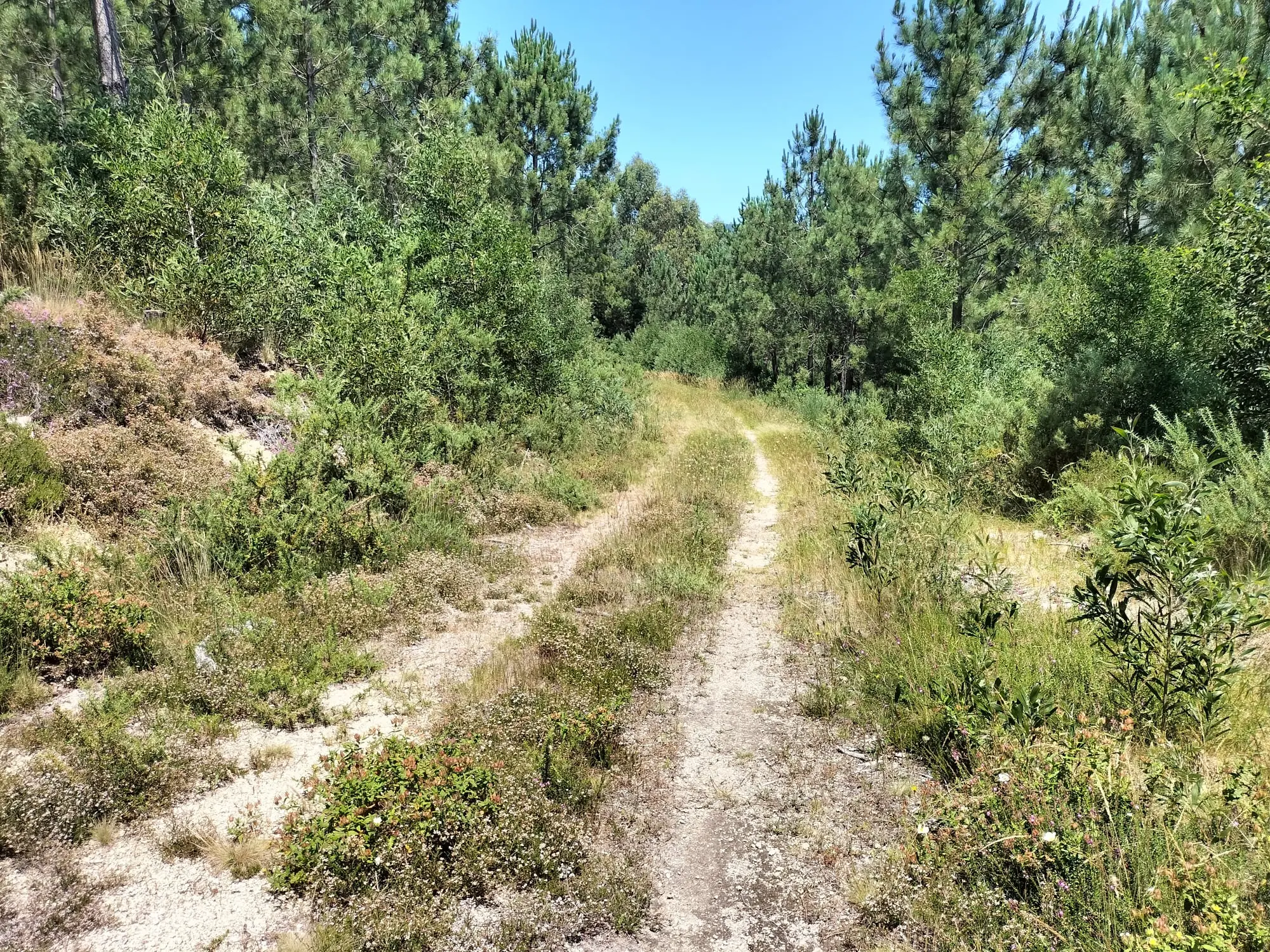 Encoro de O Con a Monte Xiabre
